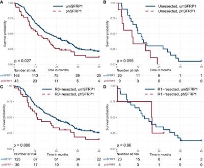 Promoter hypermethylation of SFRP1 as a prognostic and potentially predictive blood-based biomarker in patients with localized pancreatic ductal adenocarcinoma